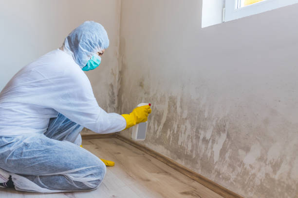 Bathroom Mold Removal assessment in Tempe bathroom